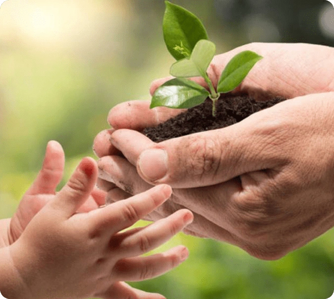 How-To-Create-A-Financial-Growth-image